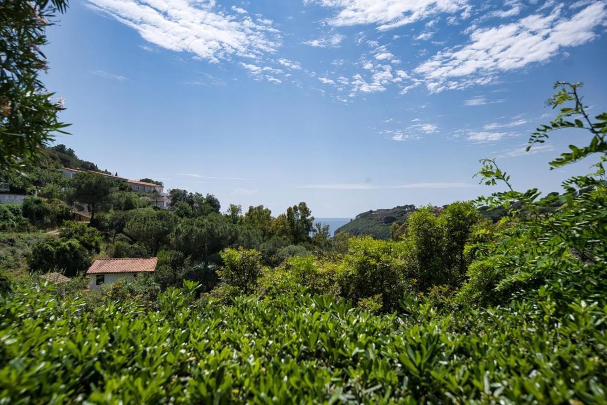 Alloggi Del Mirto A Morcone - Goelba Capoliveri  Zewnętrze zdjęcie