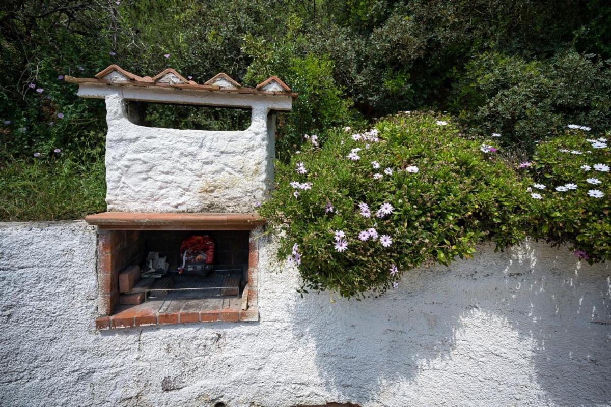 Alloggi Del Mirto A Morcone - Goelba Capoliveri  Zewnętrze zdjęcie